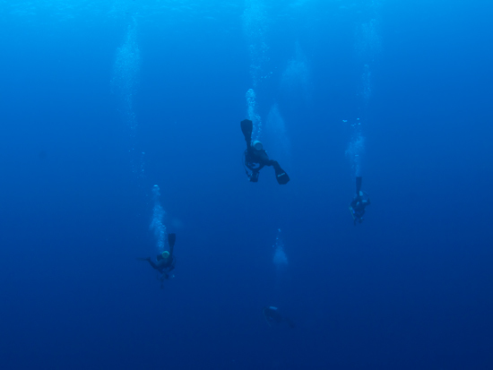Blue-Water-Diving-2.jpg