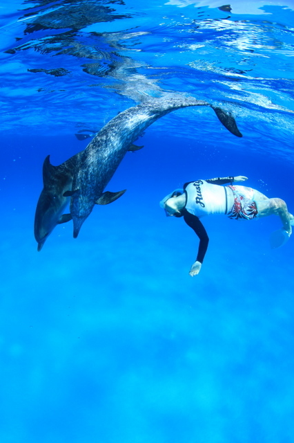 イルカと泳ぐ女性達3.jpg