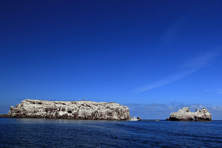 Los-Islotes全景.jpg